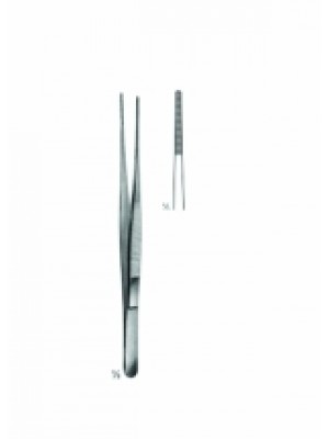 Delicate Dissecting Forceps